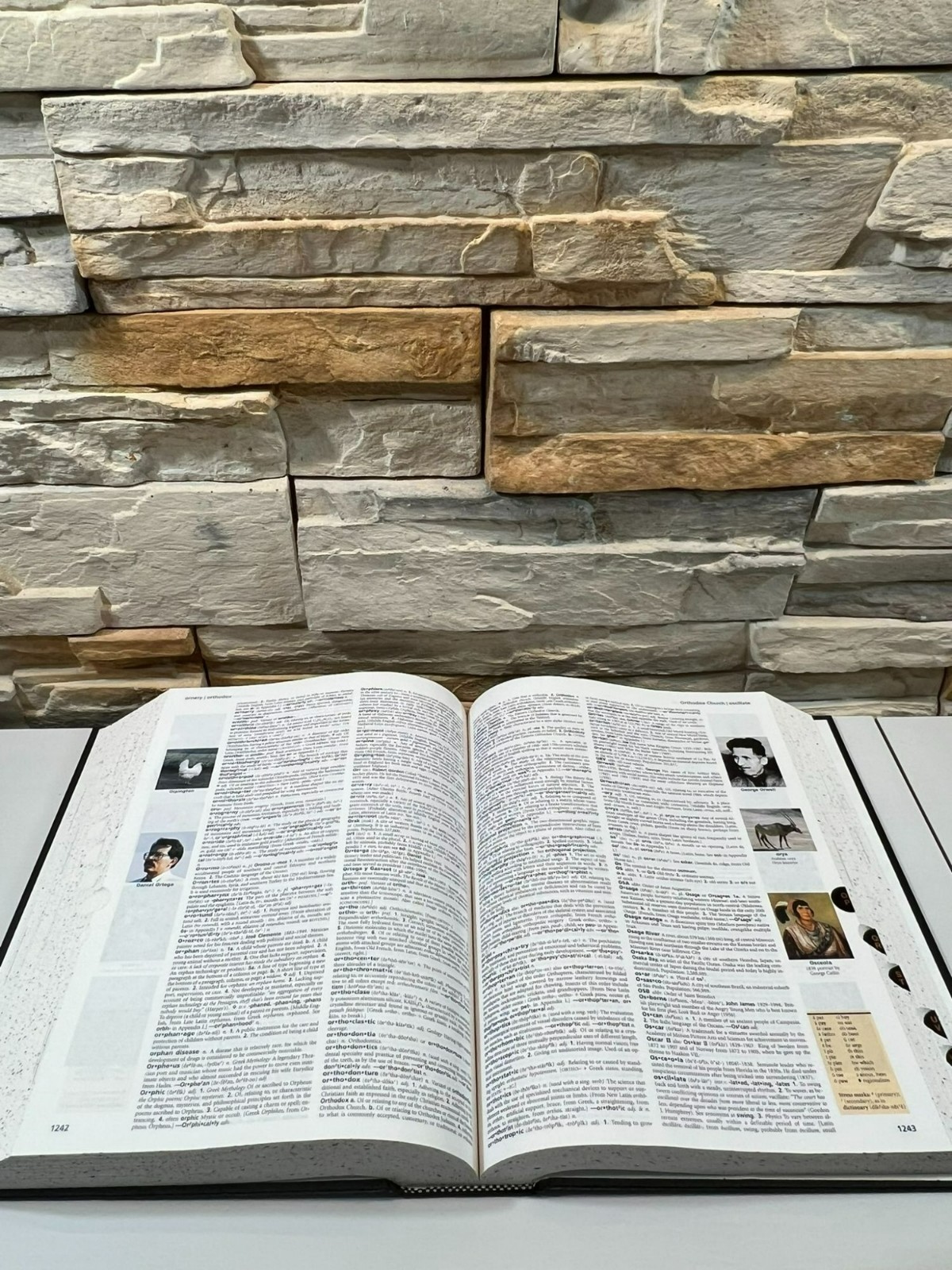 The American Heritage Dictionary of The English Language Various Authors 2006