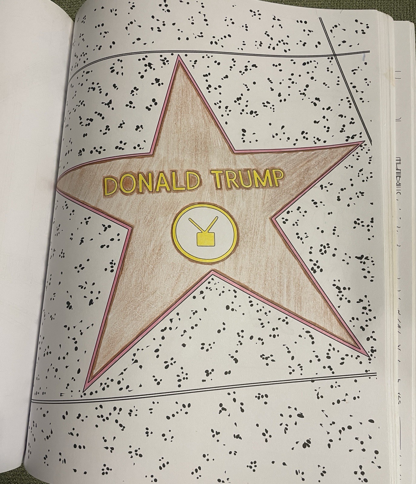 “THE TRUMP COLORING BOOK” by M.G. ANTHONY President Donald J POST HILL PRESS