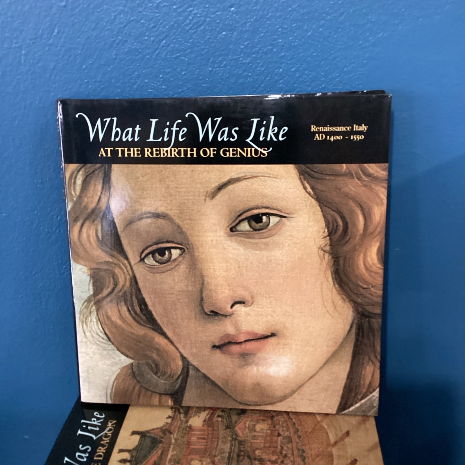 LOT OF 12 TIME LIFE BOOKS WHAT LIFE WAS LIKE SERIES SET With Cover Wear*