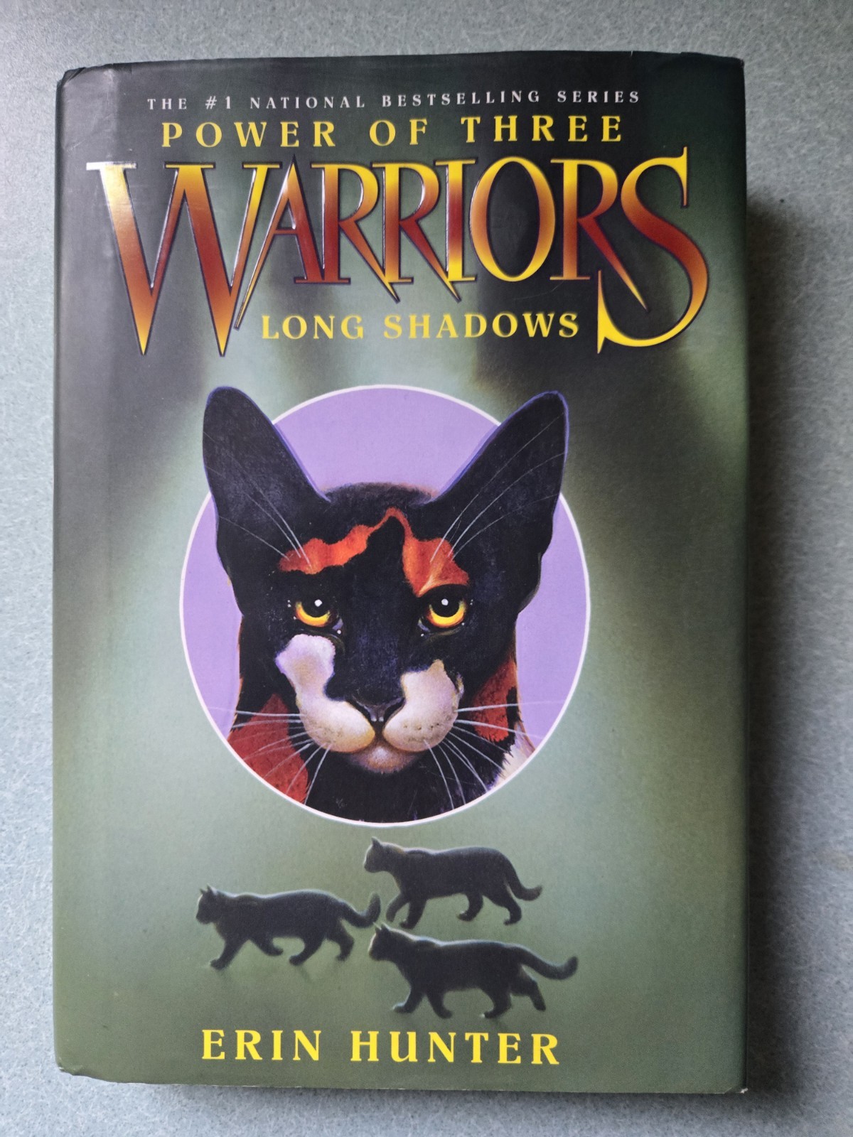Erin Hunter Warriors Arc 3: Power of Three 1-6 Hardcover Set w/ Dust Jacket