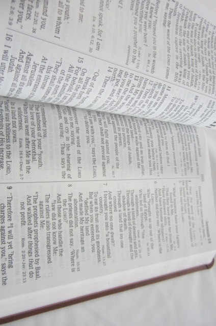 NKJV Giant Print Reference Holy Bible by Thomas Nelson – Brown Leather Cover