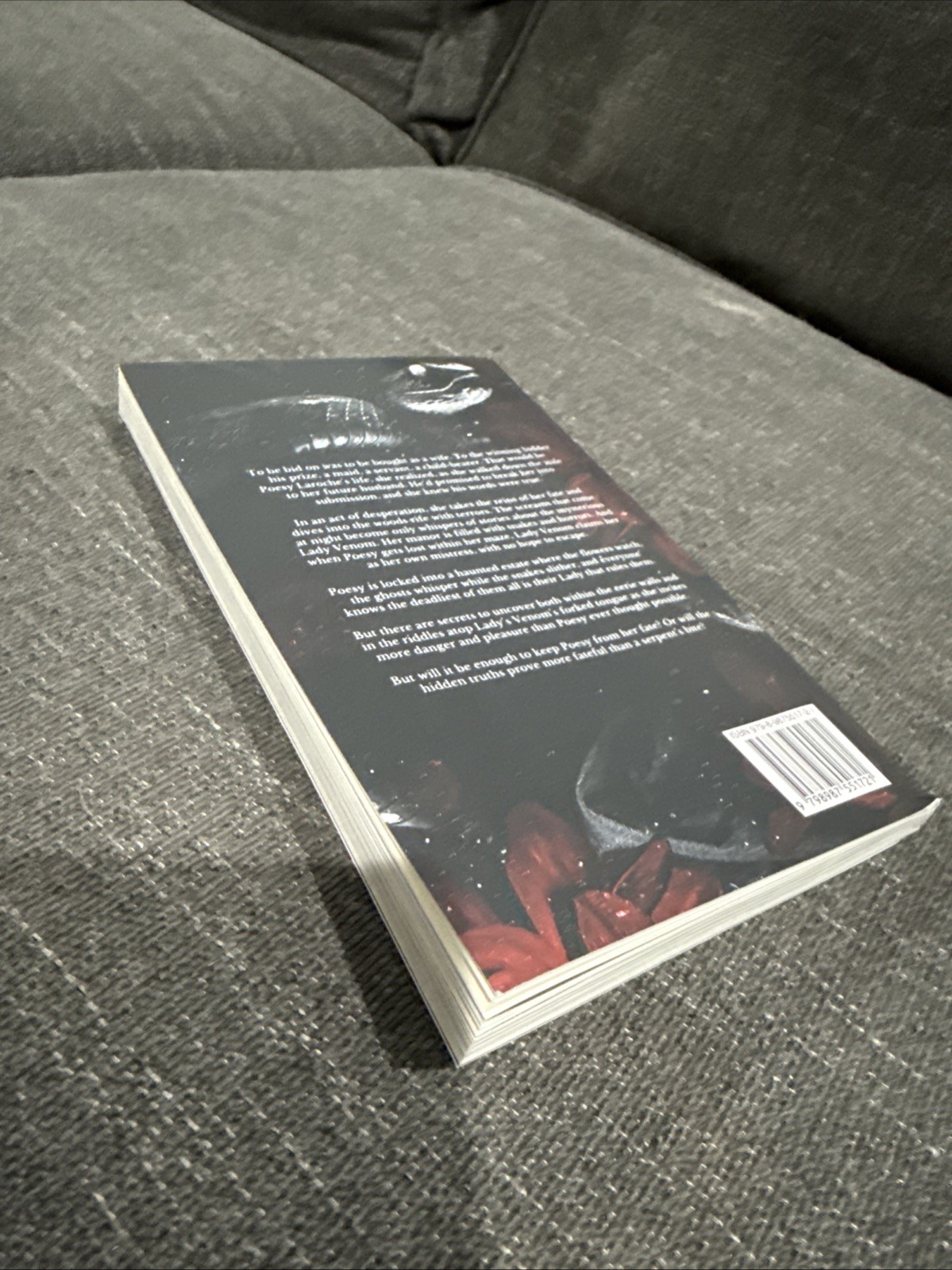 Lady Venom Takes a Mistress by Kat Blackthorne