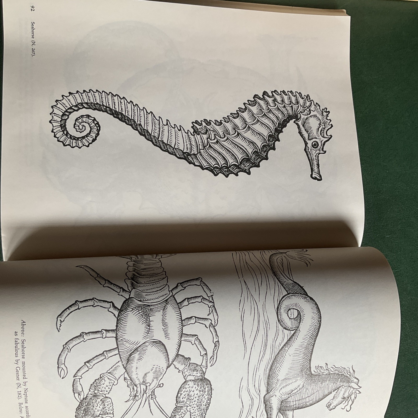 Curious Woodcuts of Fanciful and Real Beasts: A Selection of 19O Sixteenth-C…