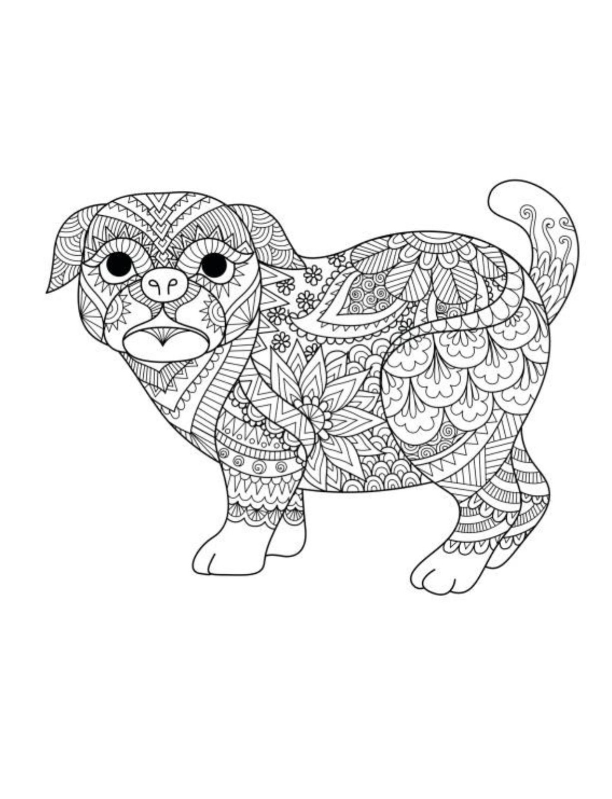 Dogs and Cats Coloring Book for All Ages 108 Pages 8.5 x 11 for All Ages