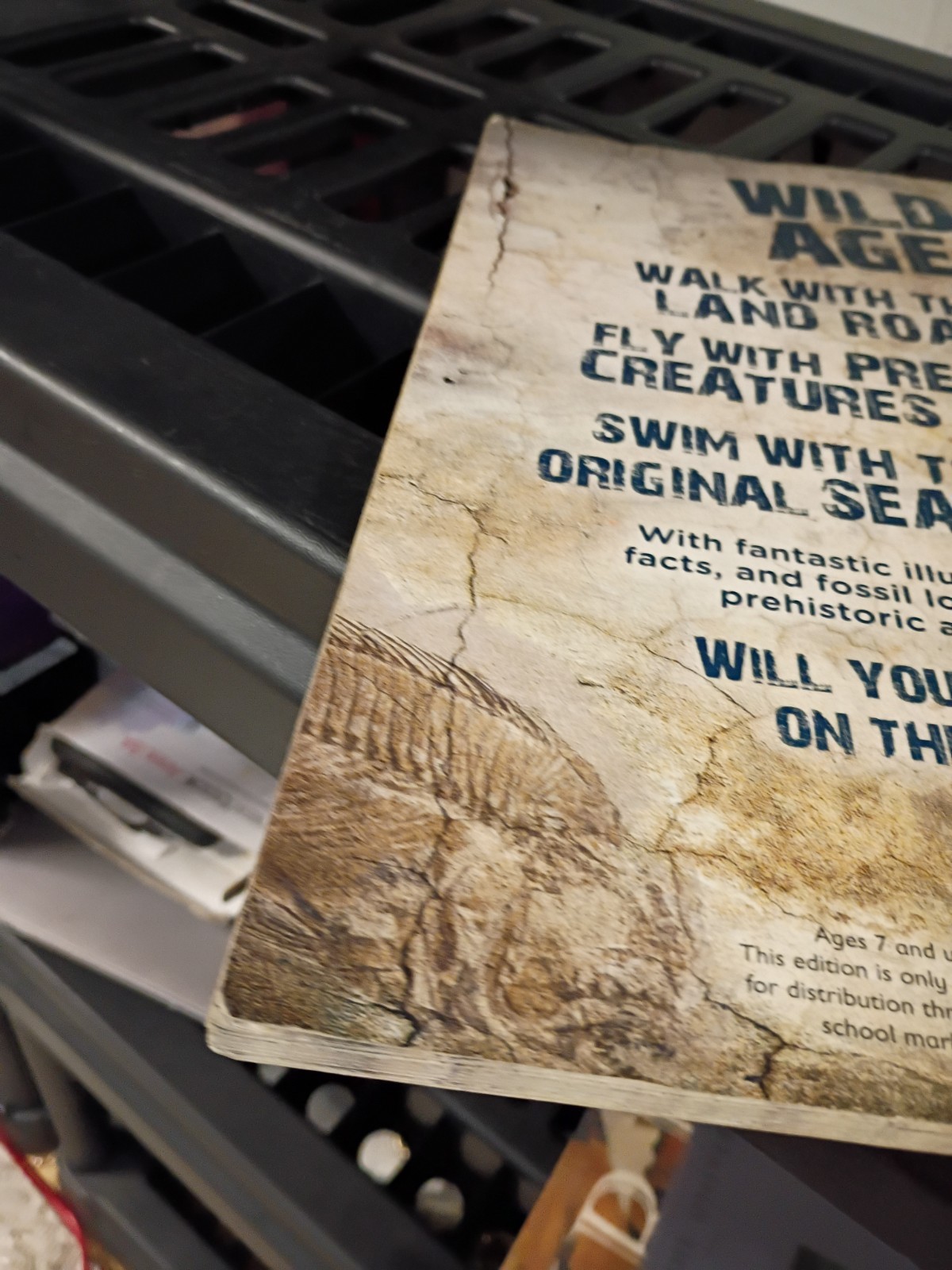Wild Age Discover The Prehistoric World Paperback 9×12 Inches Book