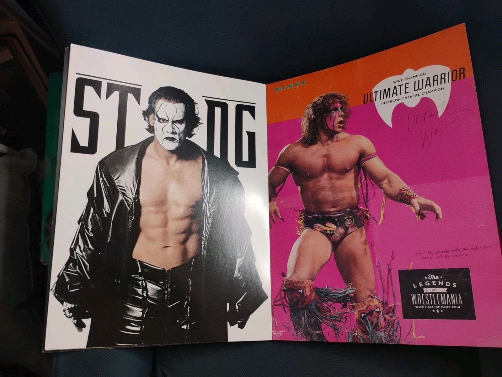 WWE: THE ULTIMATE POSTER COLLECTION (2015) Missing 1 Page (2 Posters)