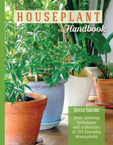 Houseplant Handbook: Basic Growing Techniques and a Directory of 300 Everyday
