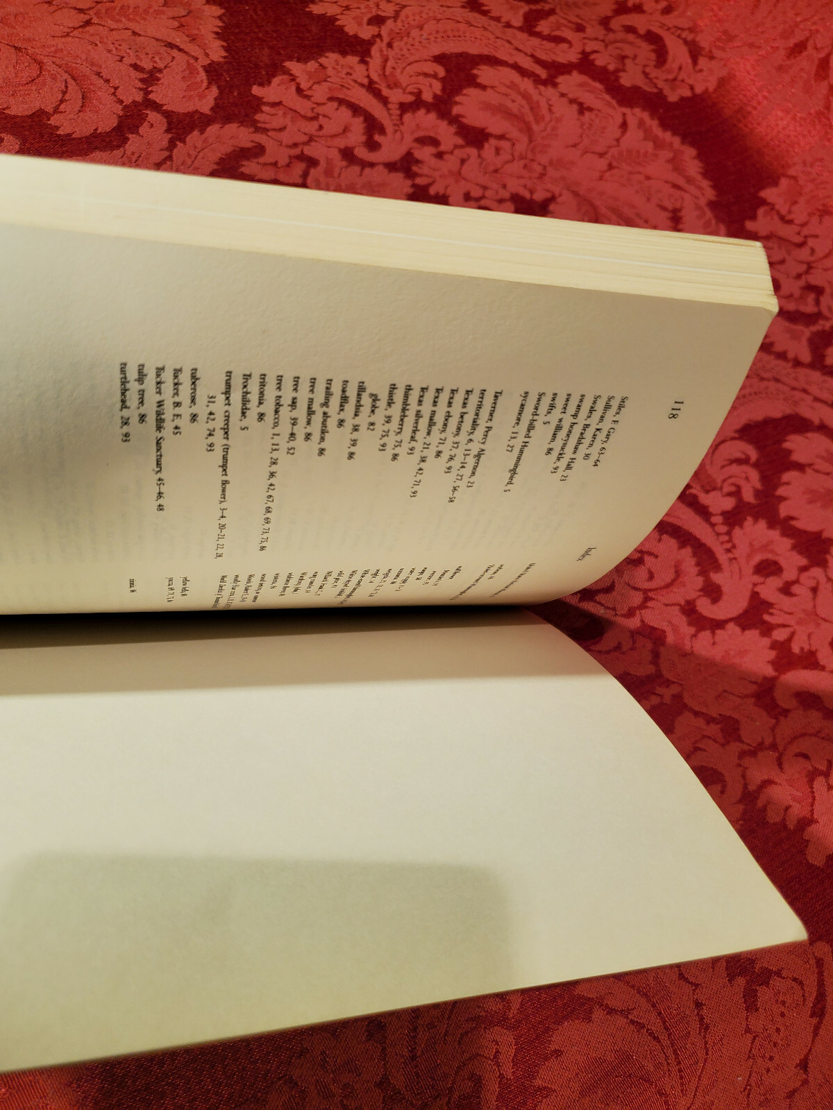 Hummingbird Garden by Mathew Tekulsky, Harvard Common Press 1990 / 1999 Like New