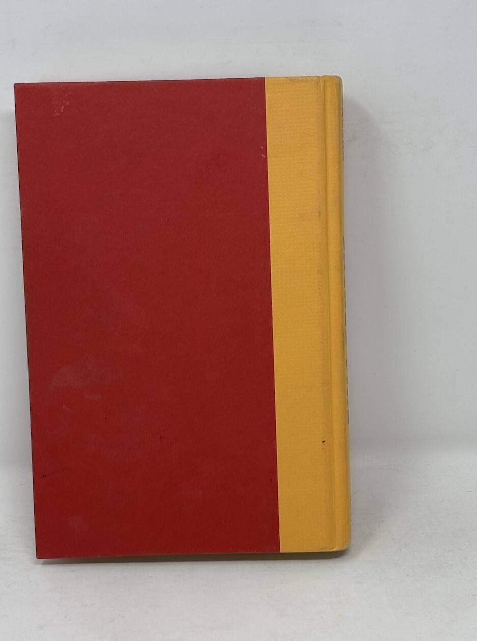 Sacred Fire by Isi Beller1994 Hardcover Mystery Thriller DJ 390 pages