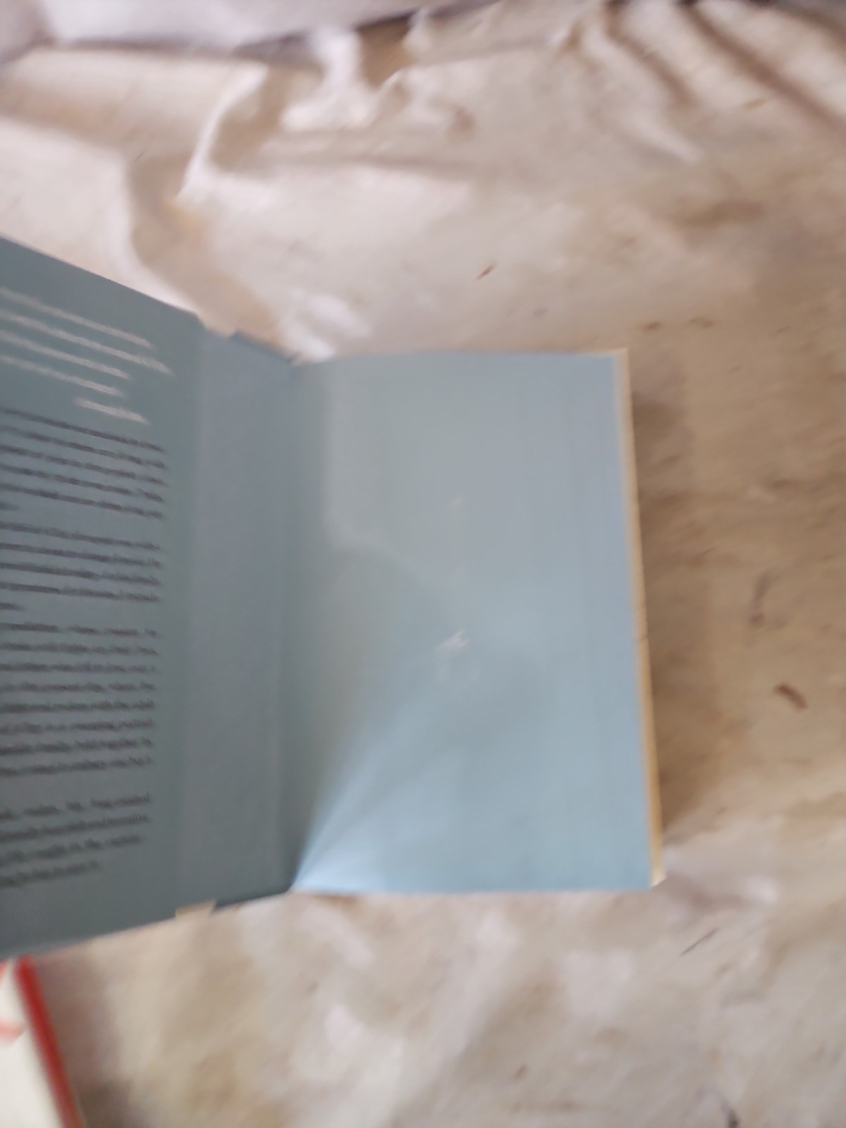 SIGNED „Bridge of Clay“ By Markus Zusak 2018 First Edition