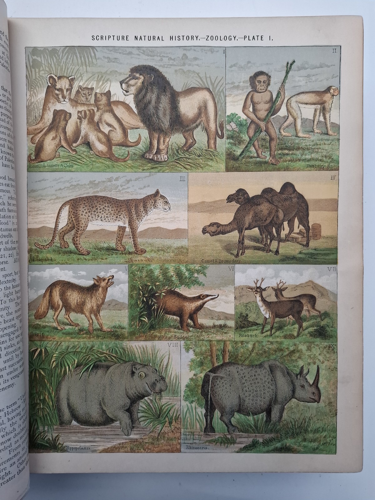 Antique 1873 Complete Domestic Bible Illus. Leather Apocrypha Maps Travels