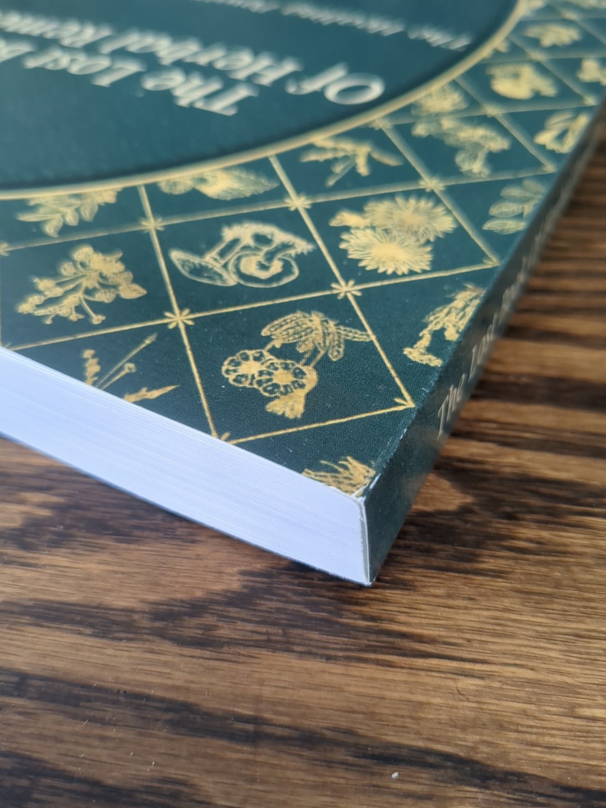 The Lost Book of Herbal Remedies: by Nicole Apelian & Claude Davis Paperback