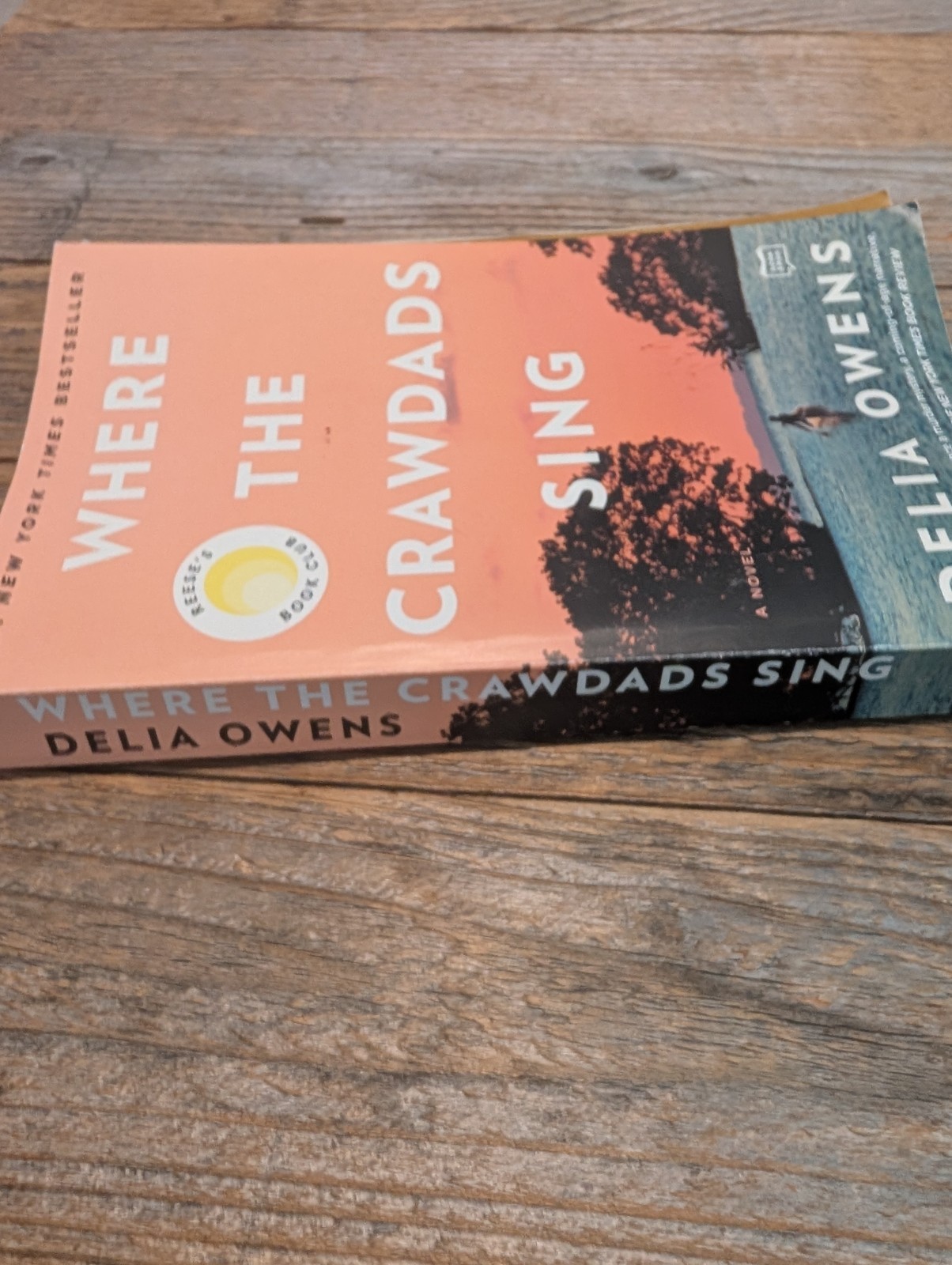 Where the Crawdads Sing: Reese’s Book Club by Delia Owens (2021, Trade…