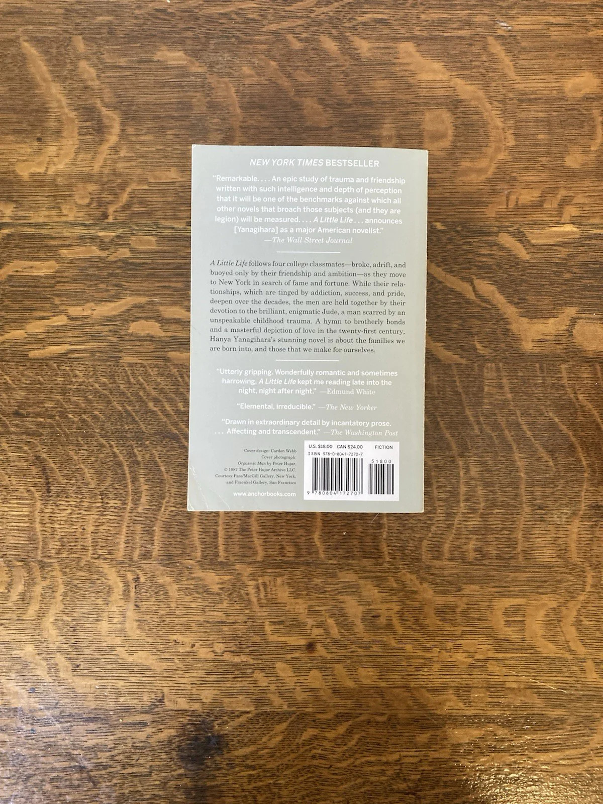 A Little Life by Hanya Yanagihara. Anchor Books. Later printing.