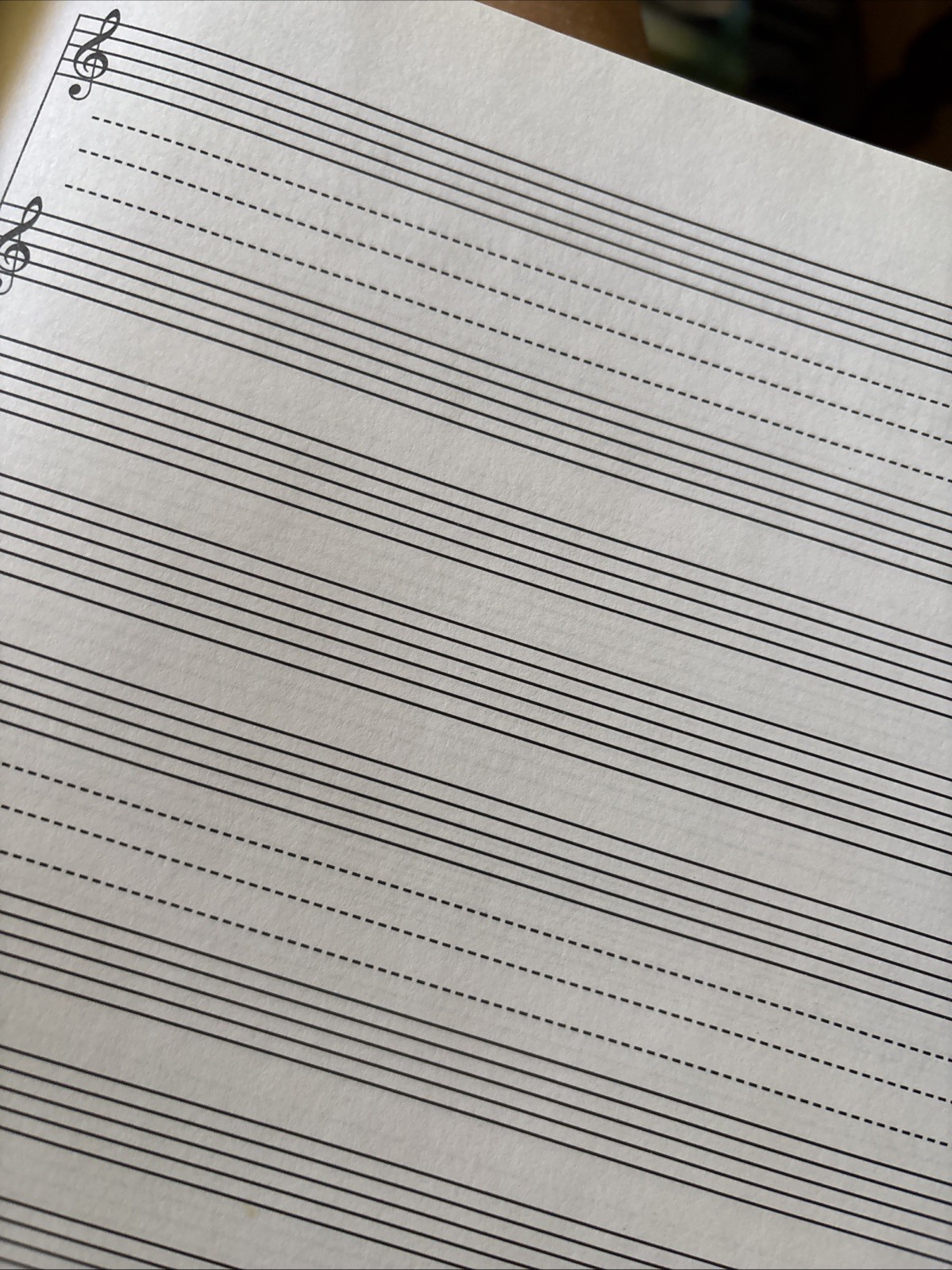 Coguzed 100 Pages Blank Sheet Music Notebook – 26X19cm Staff Paper for Musicians