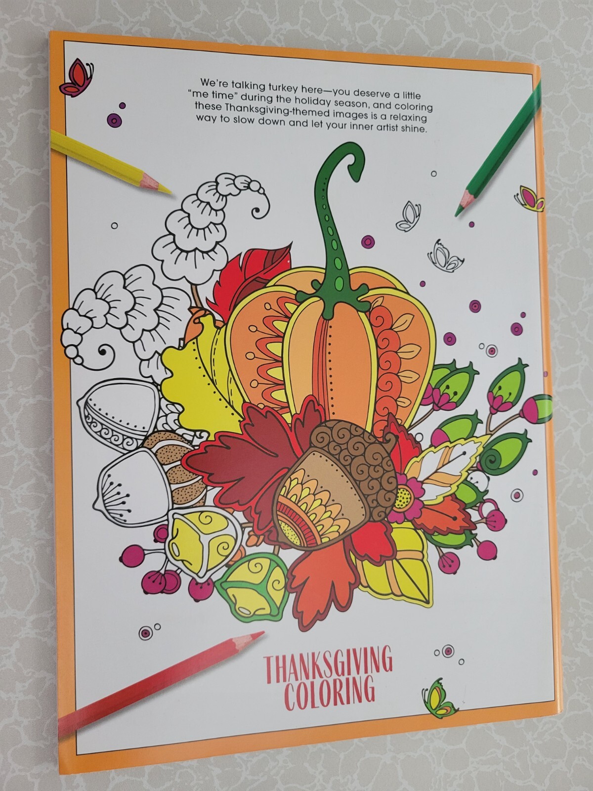 THANKSGIVING ADULT COLORING BOOK – 2022 CENTENNIAL – 32 FESTIVE COLORING PAGES