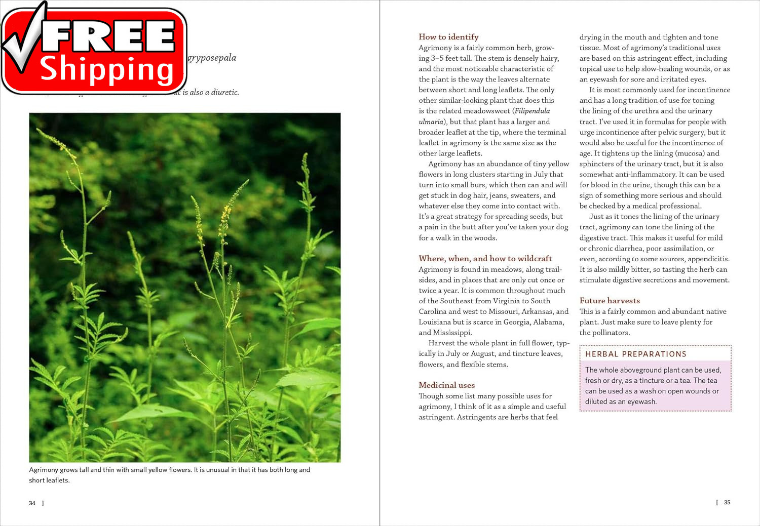 Southeast Medicinal Plants: Identify, Harvest, and Use 106 Wild Herbs for Health