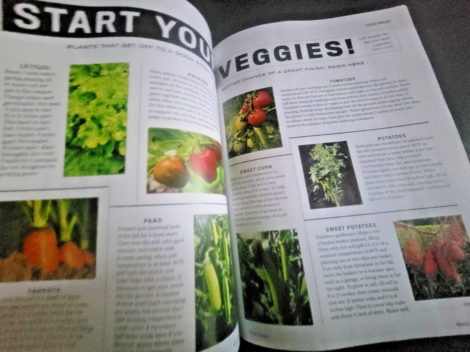 The Old Farmer’s Almanac Garden Guide 2026 – All Information Needed For Success
