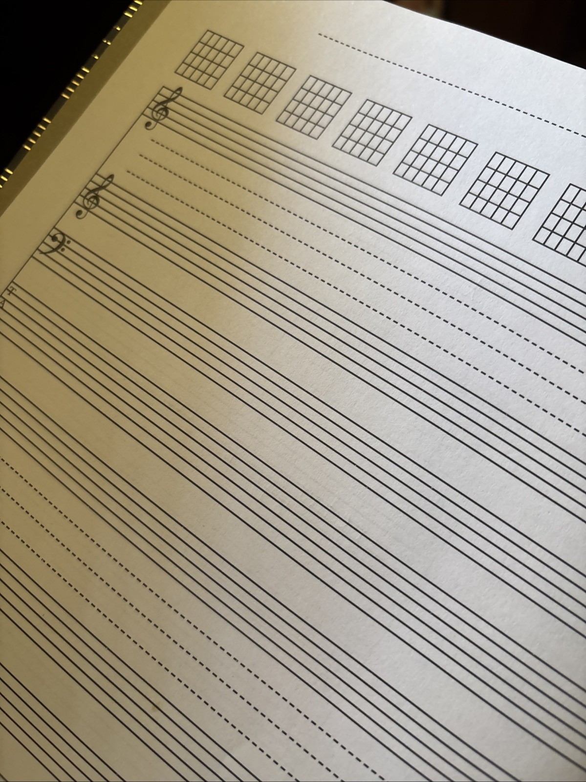 Coguzed 100 Pages Blank Sheet Music Notebook – 26X19cm Staff Paper for Musicians