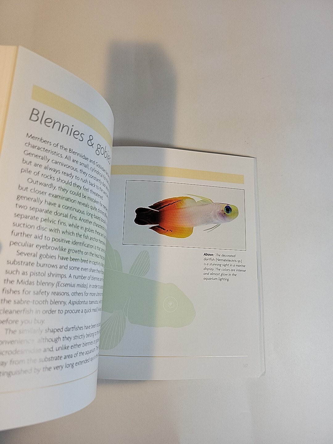 Mini Encyclopedia: Marine Aquarium – Comprehensive Coverage
