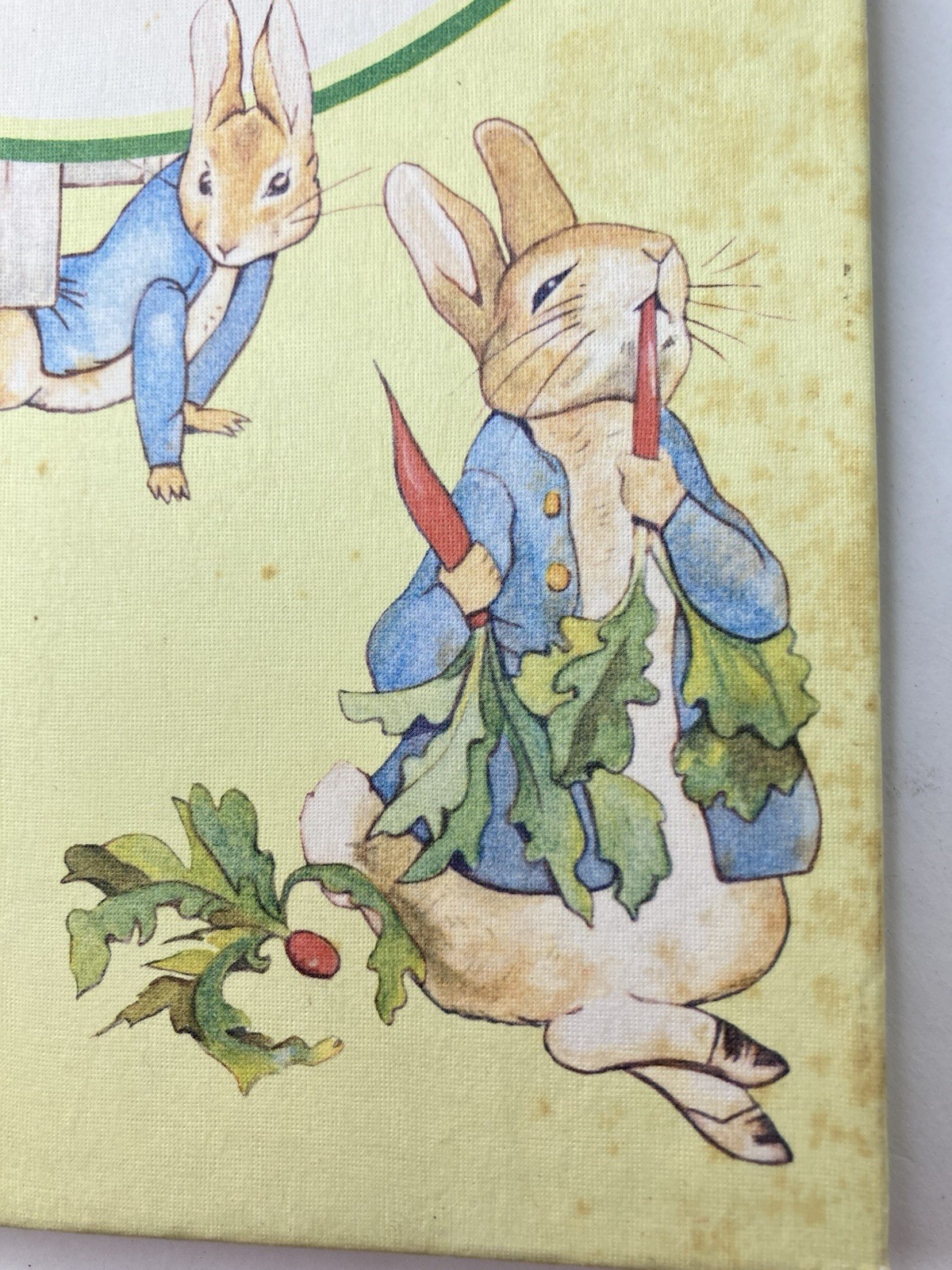 History of the Tale of Peter Rabbit Warne 1976 History Potter Private Printing