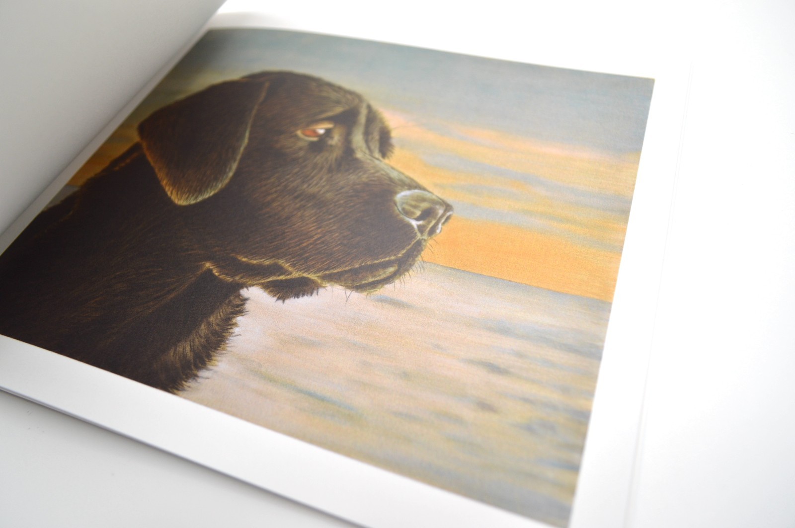 Sean Landers, Adrift, Softcover, Artist Exhibition Catalog, 2023, New