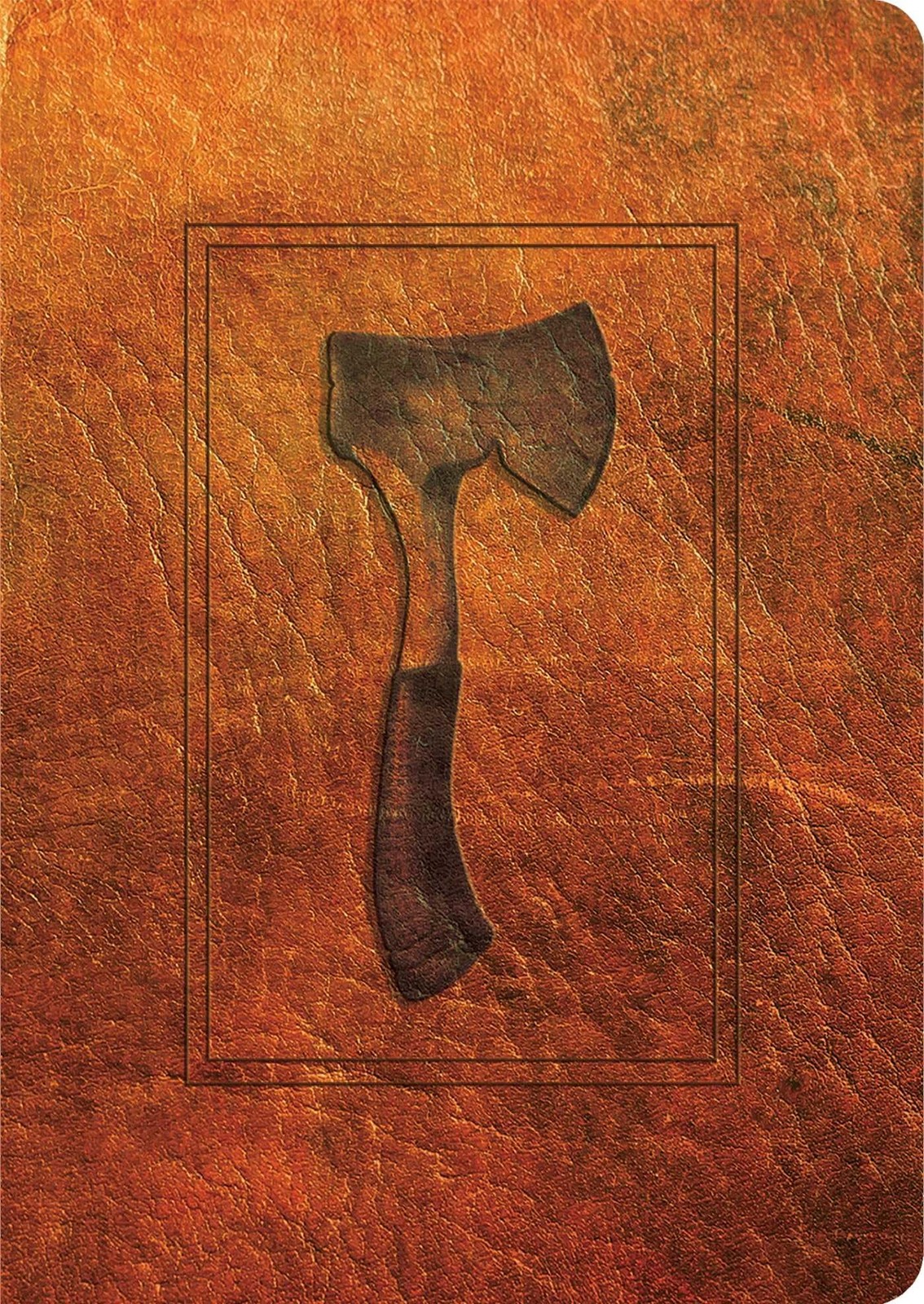 Hatchet: 30th Anniversary Edition – paperback Paulsen, Gary|Willis, Drew