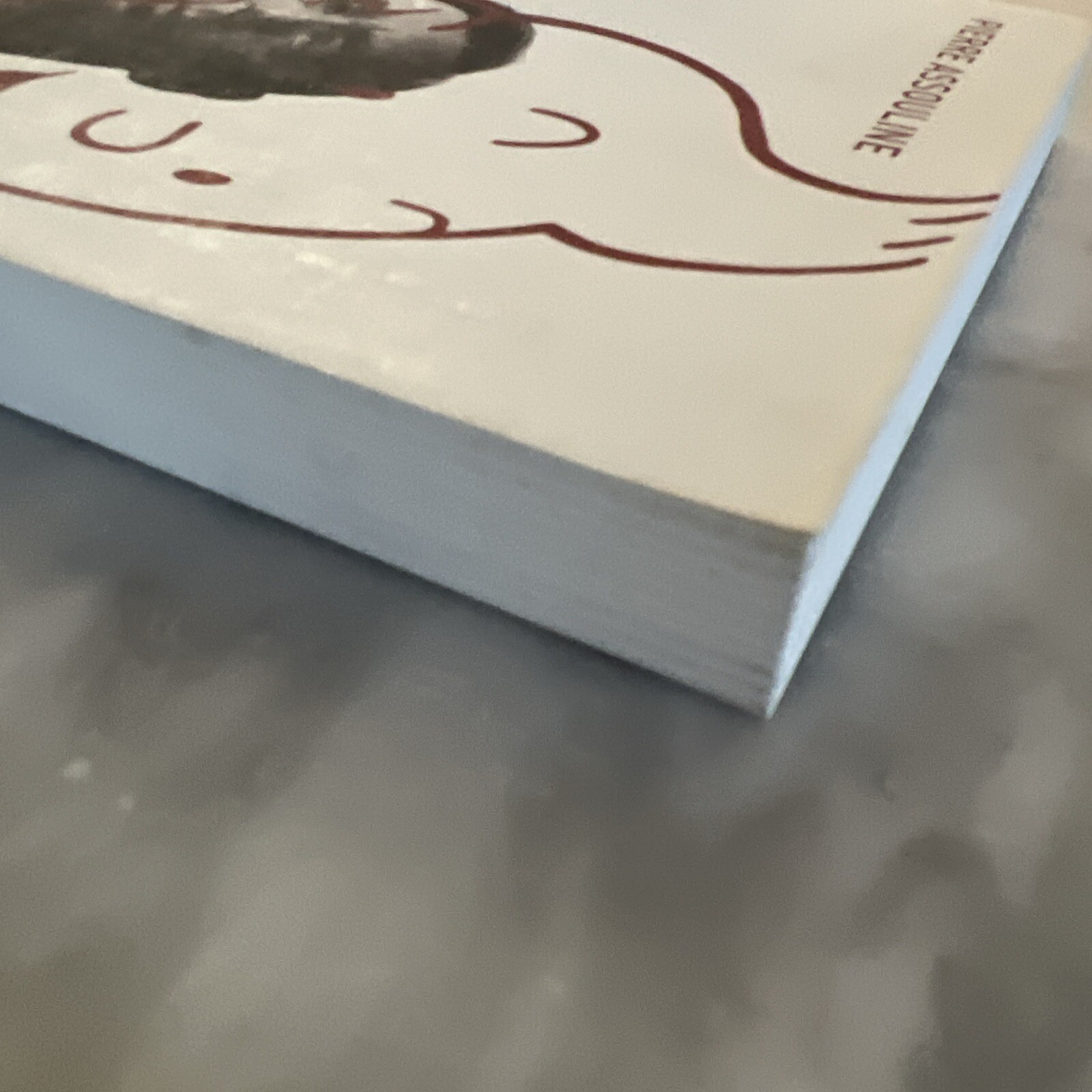 Herge : The Man Who Created Tintin Paperback Charles, Assouline