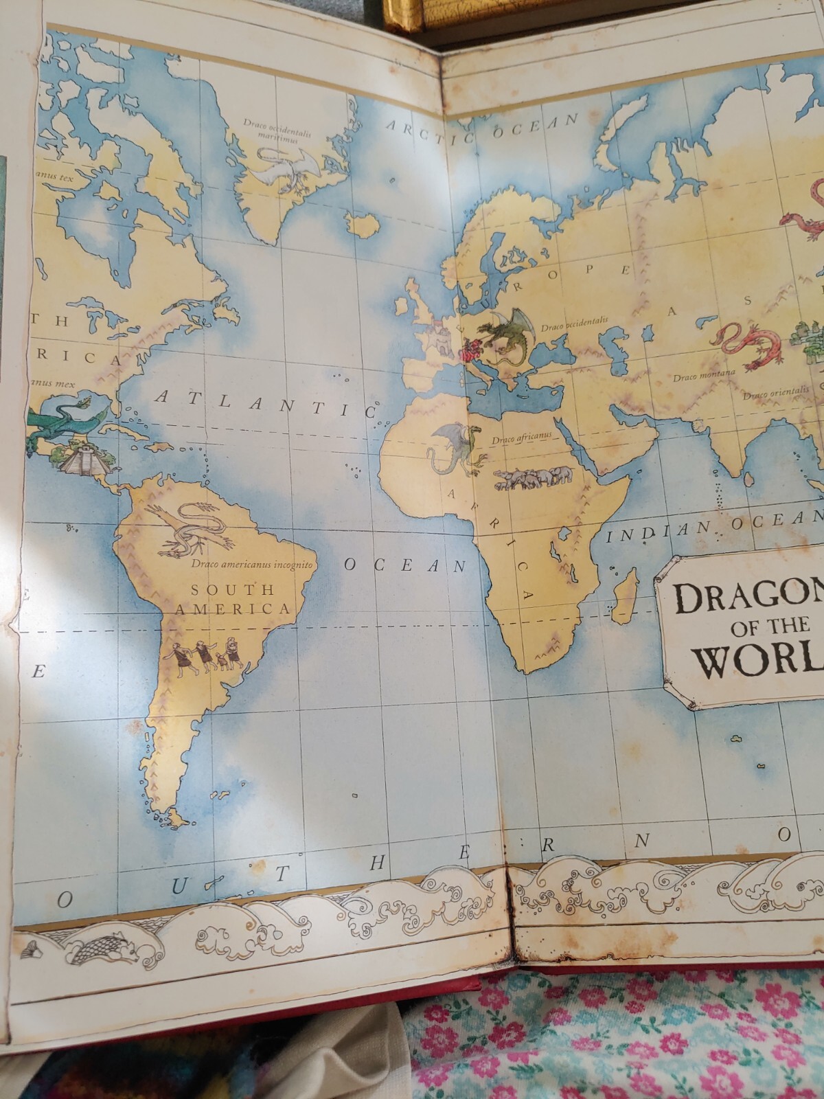 Ologies Ser.: Dragonology : The Complete Book of Dragons by Ernest Drake (2003,