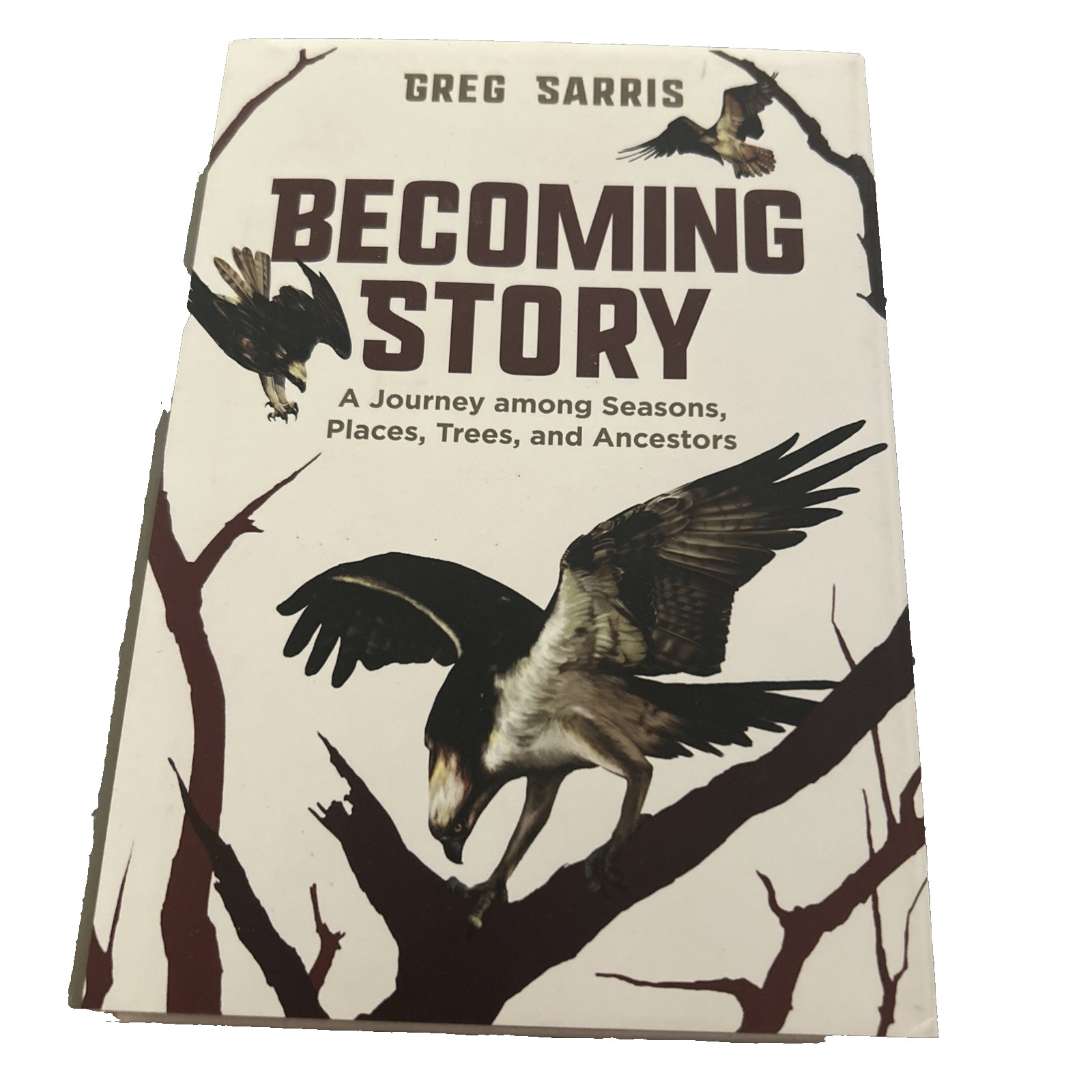 Greg Sarris Becoming Story Hardback/dust jacket SIGNED by author 1st ed. Memoir