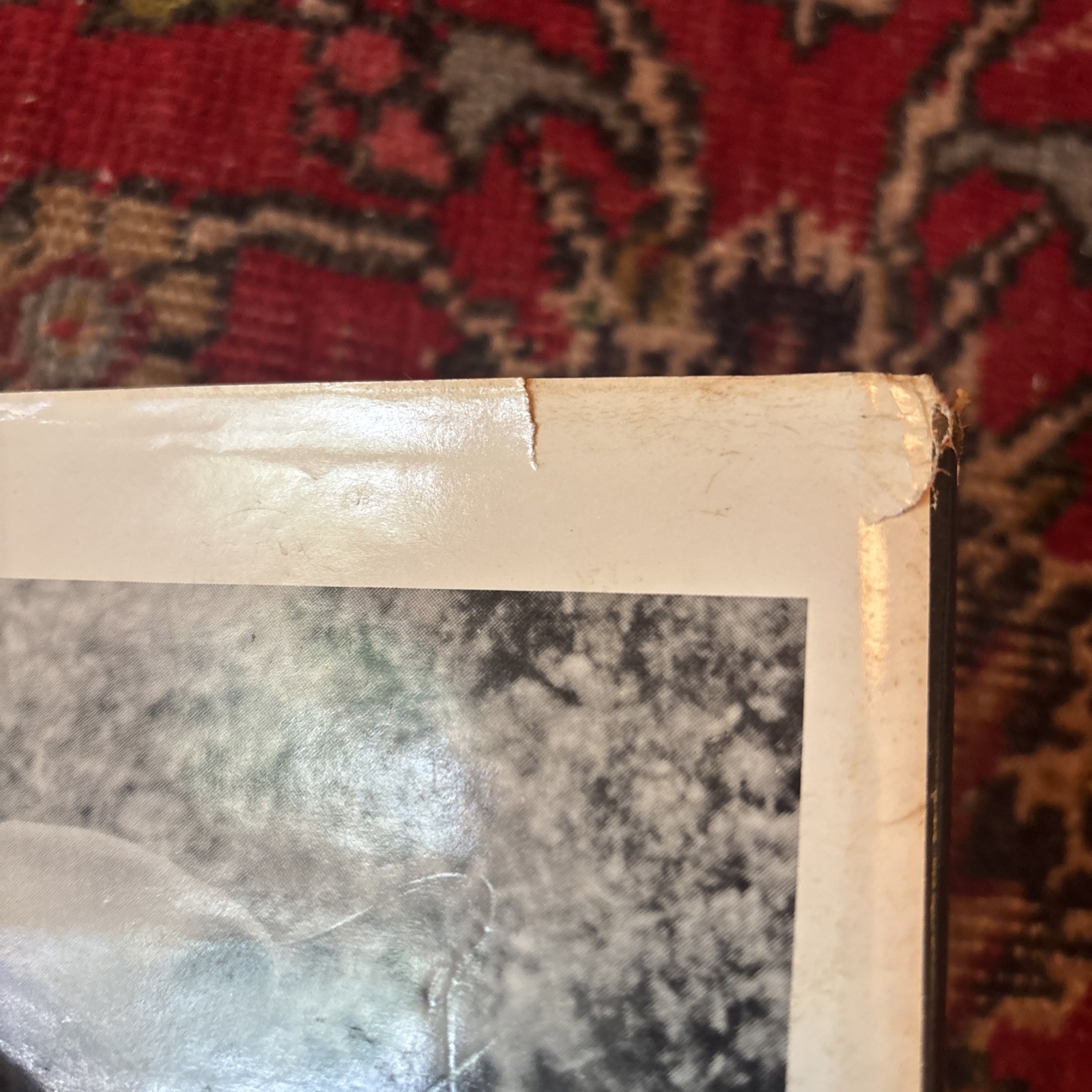 Unrepentant Sinner Autobiography of Colonel Charles Askins HC 1985 AUTOGRAPHED