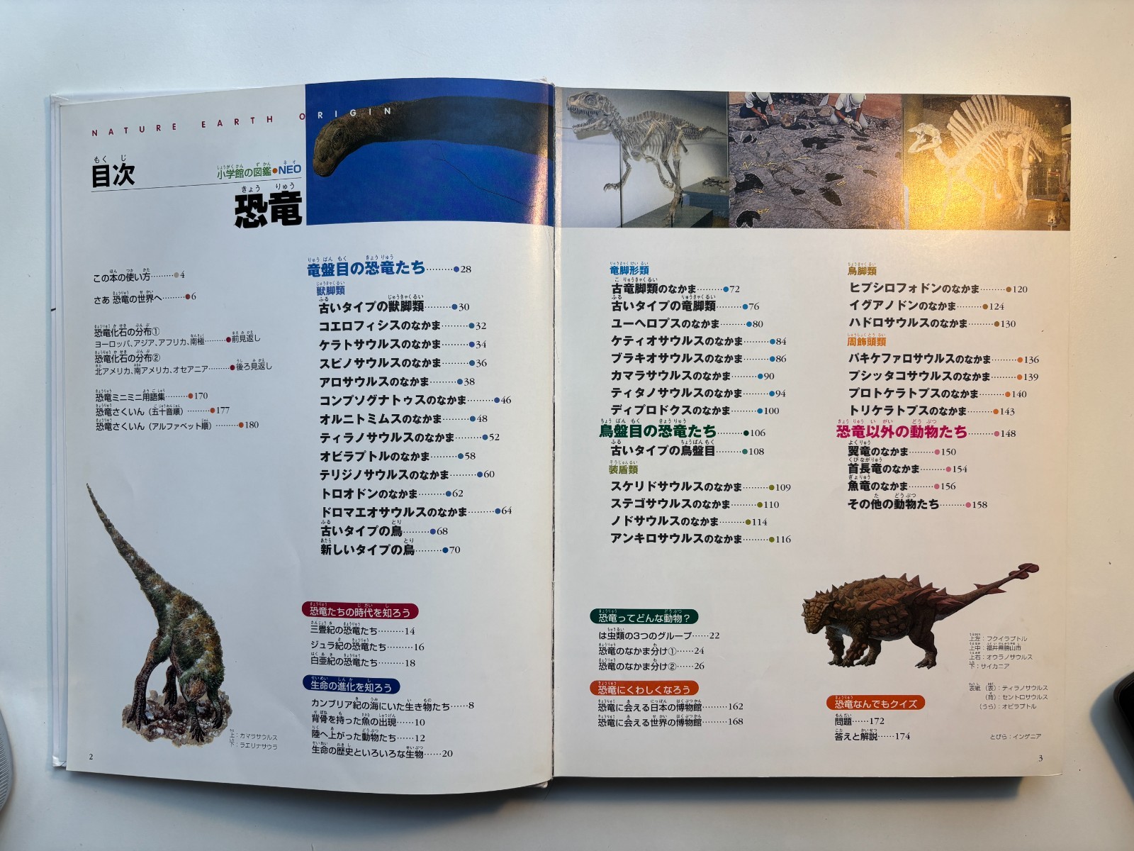 Japanese Childrens Dinasars book Shogakukan Encyclopedia NEO 180 pages