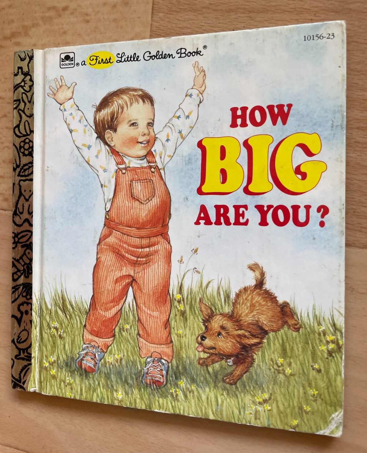 A FIRST LITTLE GOLDEN BOOK. HOW BIG ARE YOU?. 15 BY 14CM. 1995. CORINNE MALVERN