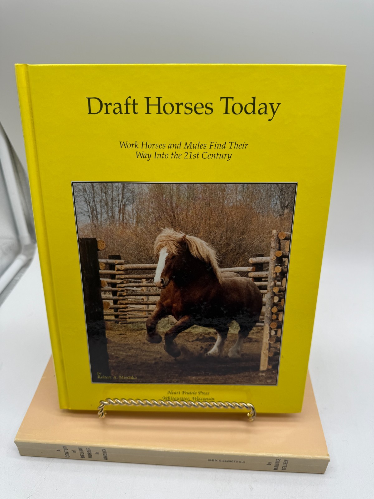 Lot 9 Horse Books Encyclopedias Breeds Horsemanship equestrian in good cond.