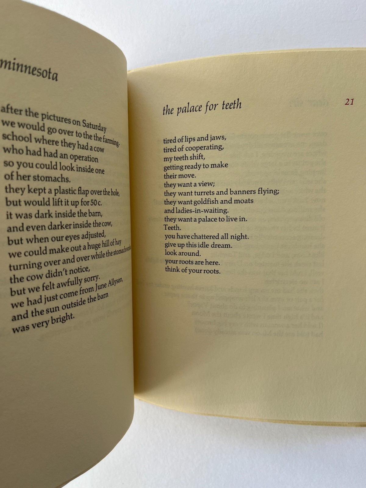 Abigail Luttinger / Good evening and other poems, Ltd SIGNED 1979 Penumbra Press