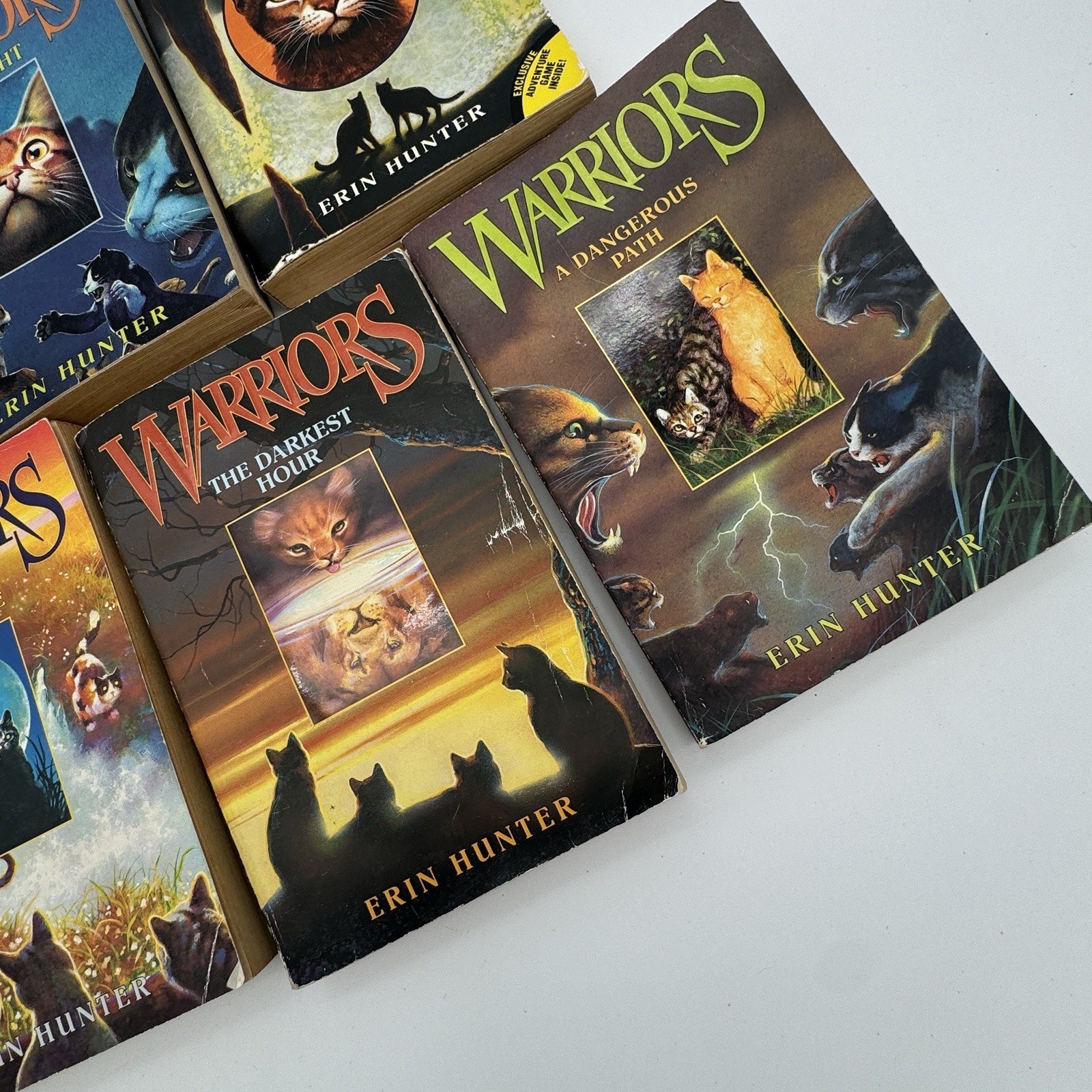 Warriors Erin Hunter Book Lot Of 17 Mixed Hardcover Paperback Super Editions