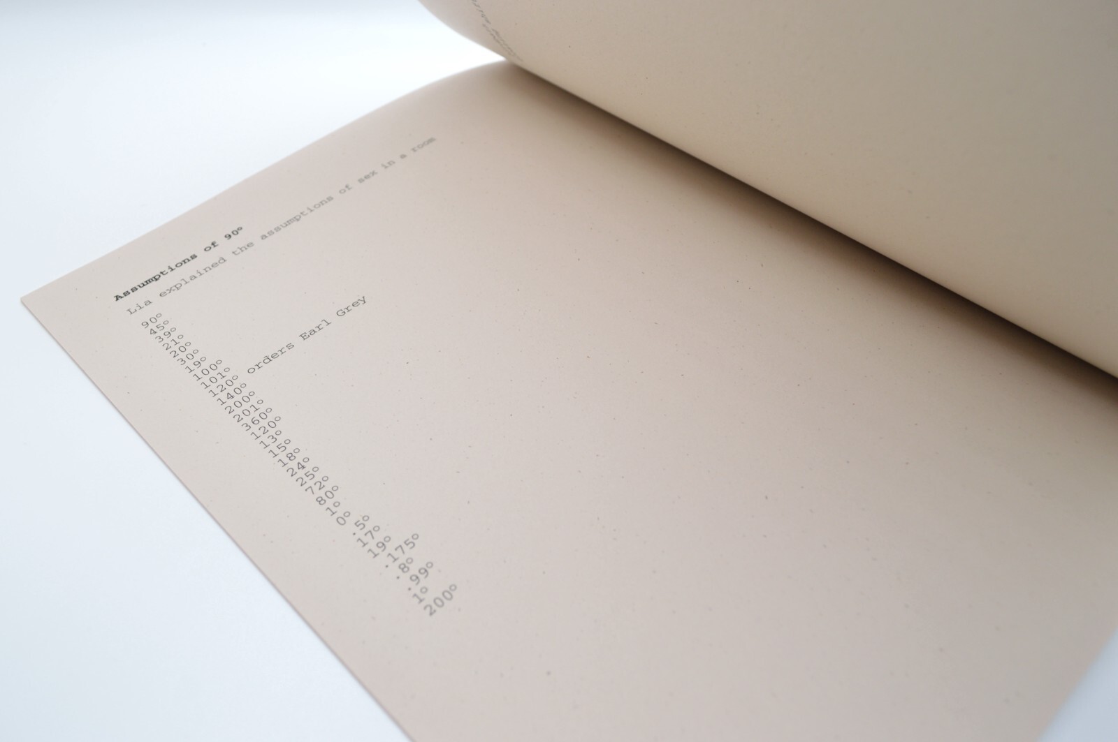Who is in Charge, Morgan Ritter, 2013, c_L Books, LE, Concrete Poetry, Artist