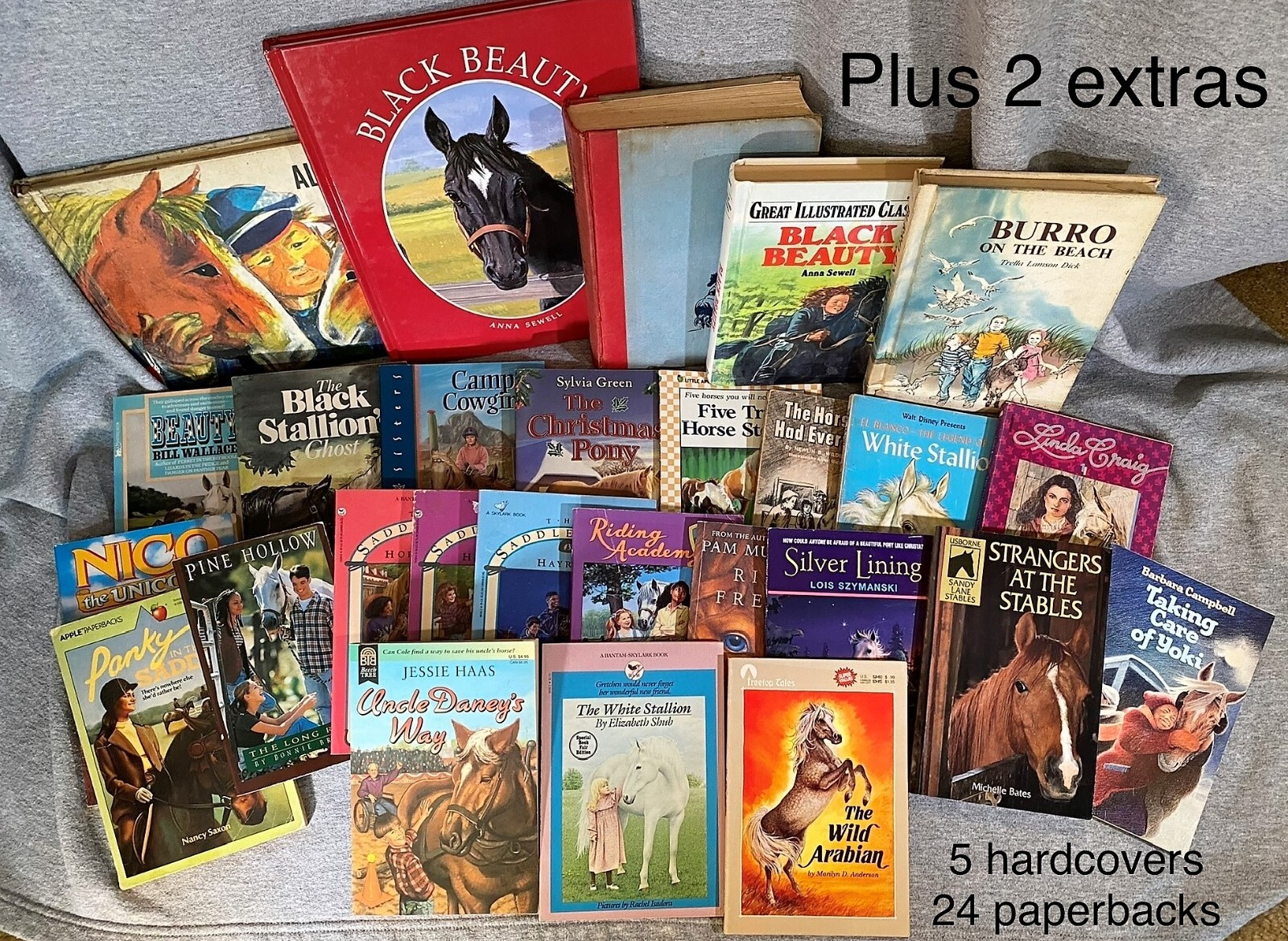 Horse Equestrian Books 29 in Lot 5HC & 24PB Chapter Picture Riding Veterinarian