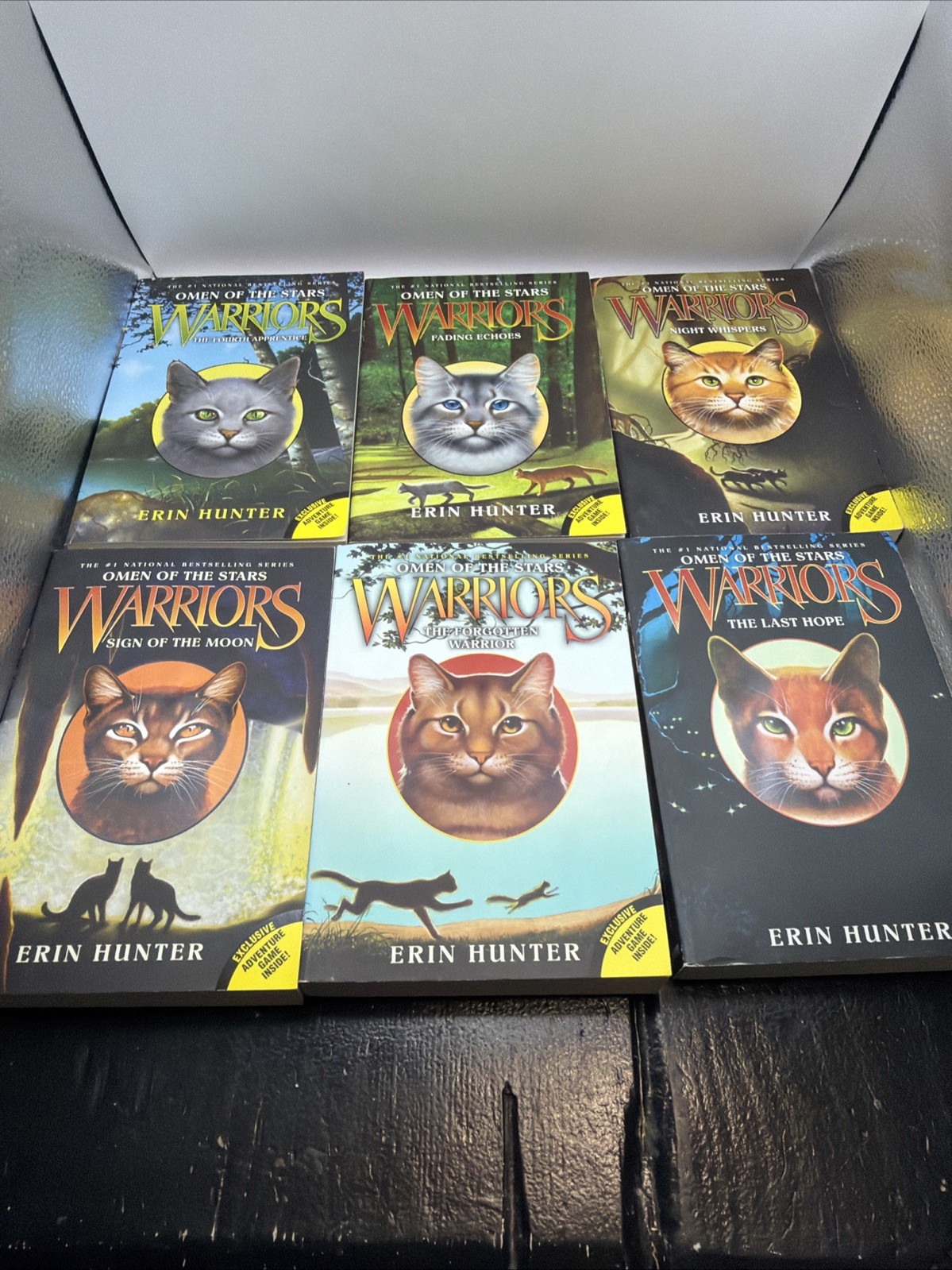 Warriors: Omen of the Stars Box Set: Volumes 1 to 6