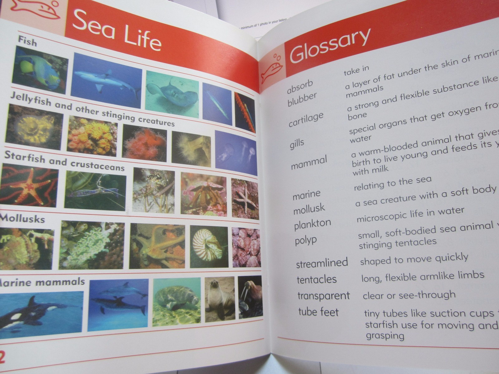 Lot of 2 NEW Go Facts Science: Sea Life & Flowers Newbridge Paperbacks Ages 6-9
