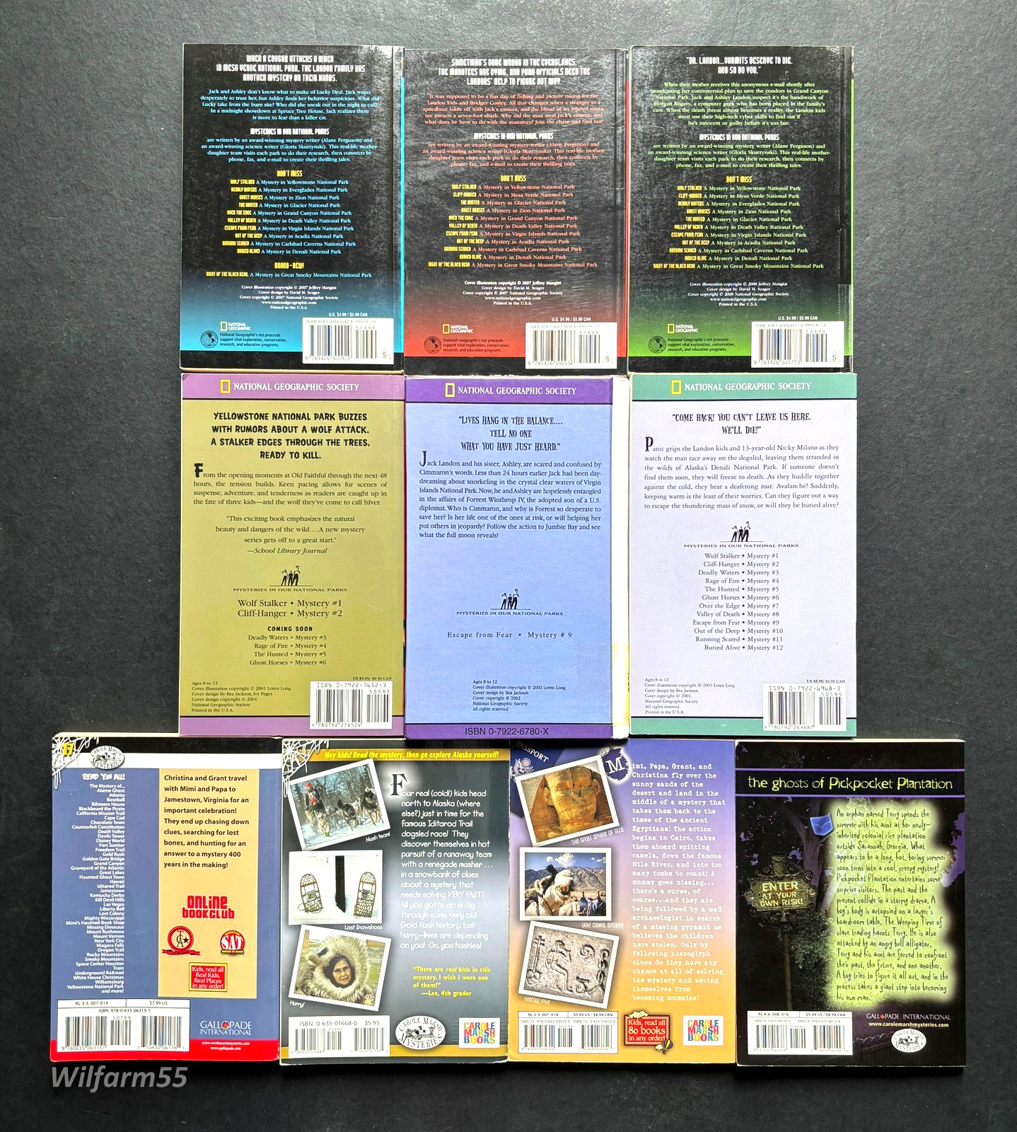 10 Lot Historic Mystery Books In Our National Parks & Carole Marsh Mysteries