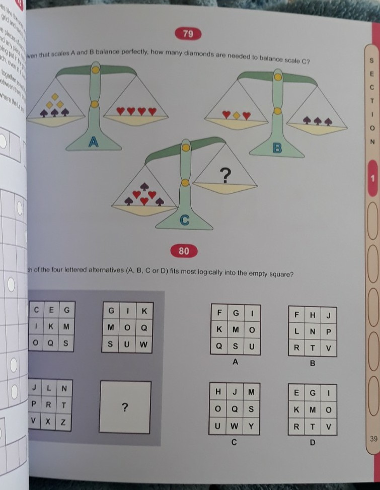 IQ Puzzles, Capella, Arcturus Publishing Limited, 2008, Excellent Condition