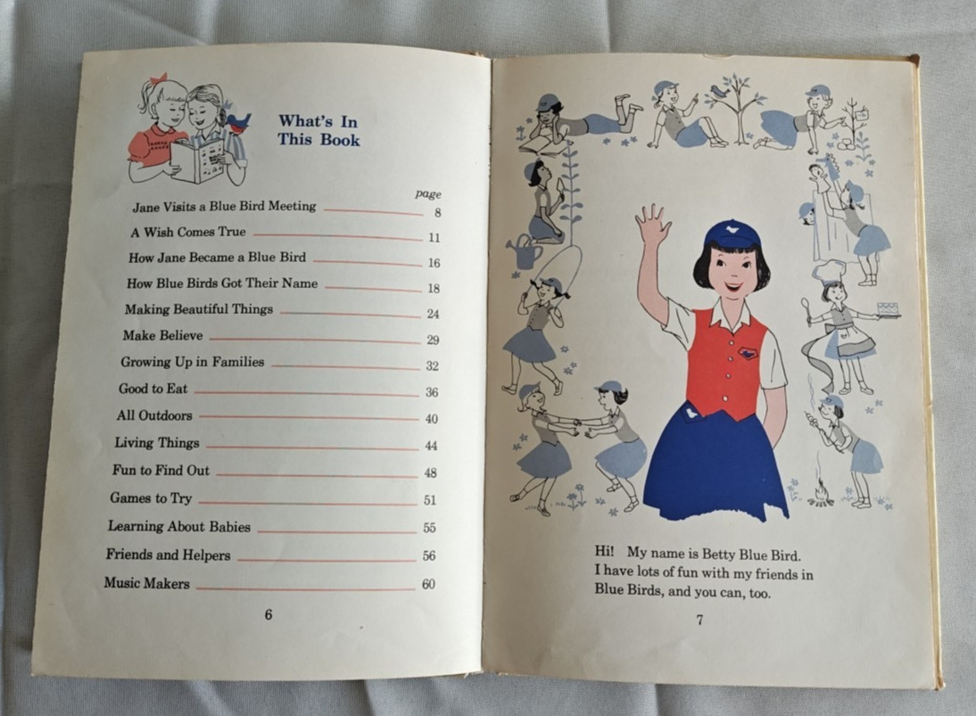 The Bluebird Wish Comes True Book 1960 Campfire Girls HC Illustrated Complete VG