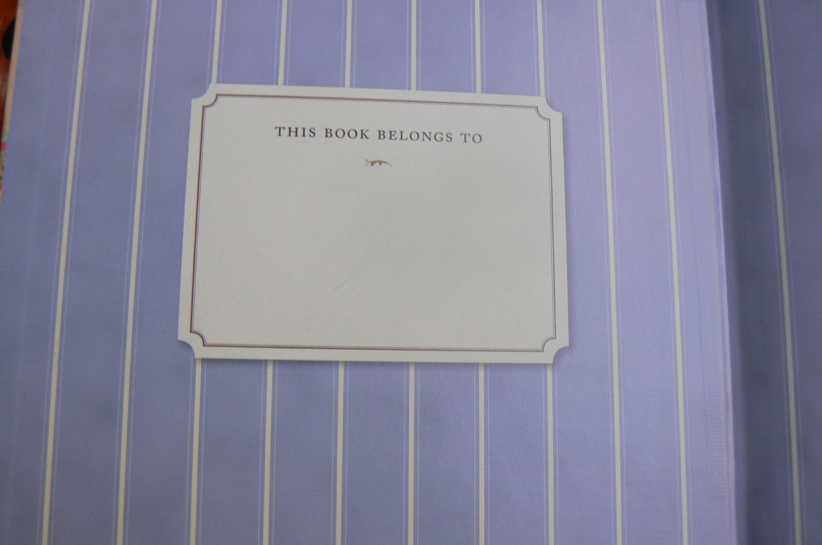 The Velveteen Rabbit, Classic Edition, Bianco/Santore,First Edition HC 10.5″x11″