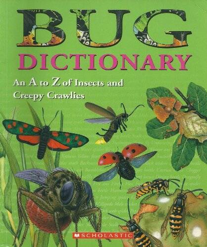 Bug Dictionary (An A to Z of Insects and Creepy Crawlies) – VERY GOOD
