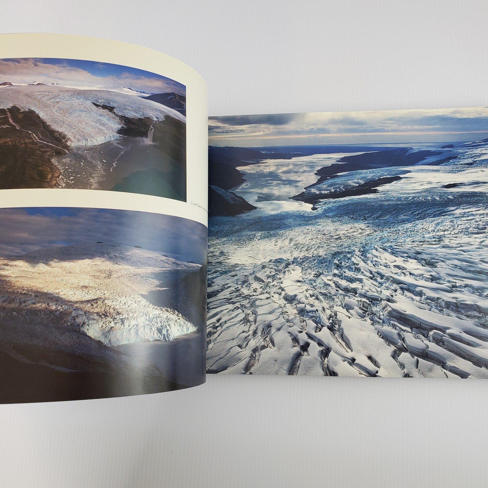 Signed ~ My Wrangell Mountains by Ruedi Homberger Jon & Jona Van Zyle 2011 PB