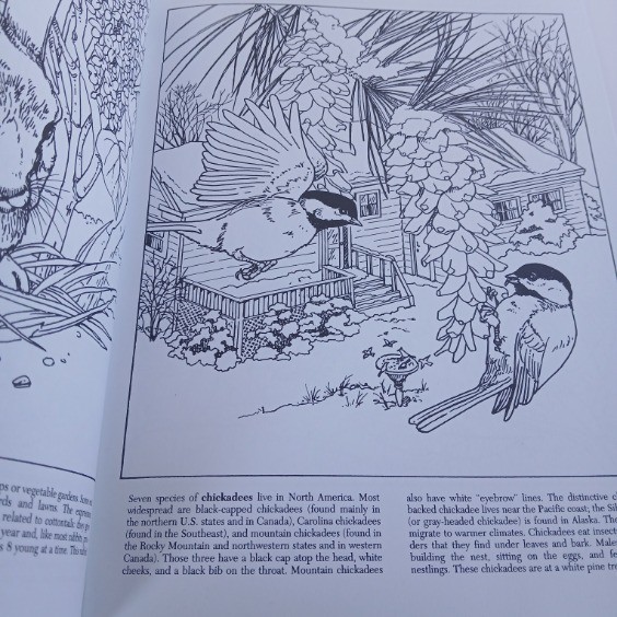 Dover Adult Coloring Books Lot Of 5 Nature Gardens Birds Flowers & WW1 Uniforms