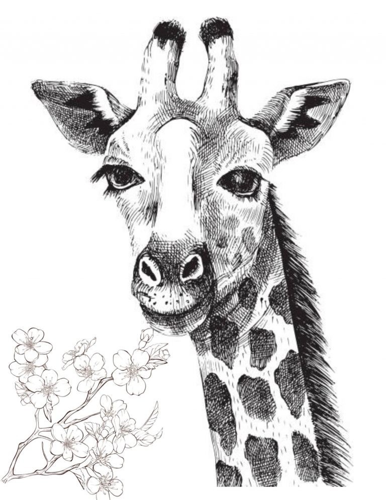 Save the Giraffes Coloring Book for Adults Teen 108 Pages 8.5 x 11 for All Ages