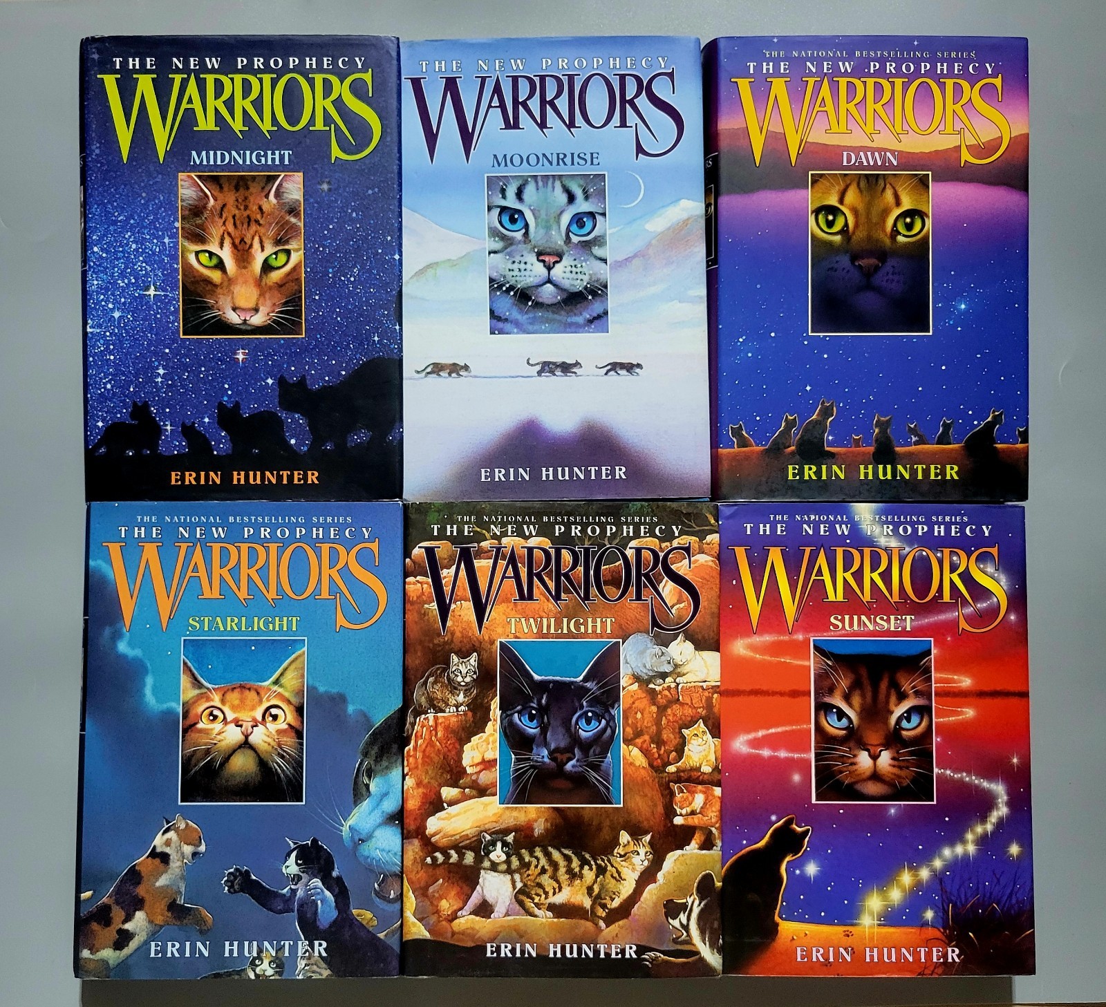 Warriors : The New Prophecy 6 Book Hardcover Set – Erin Hunter – HC – VG