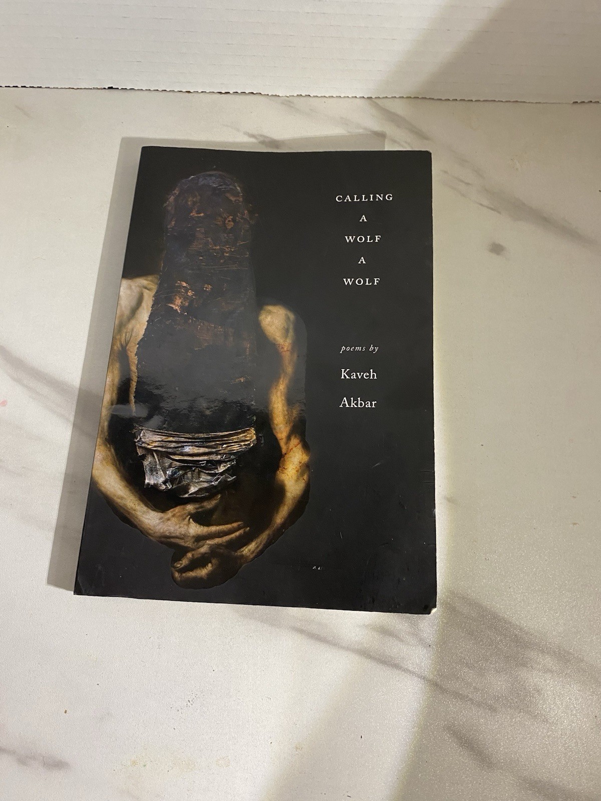 Calling a Wolf a Wolf by Kaveh Akbar (2017, Trade Paperback)